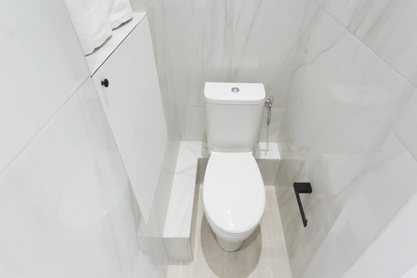 toilet