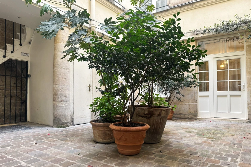 cour1